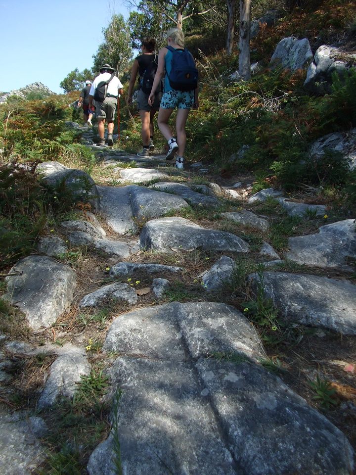 O camiño Portugués pola costa consolídase