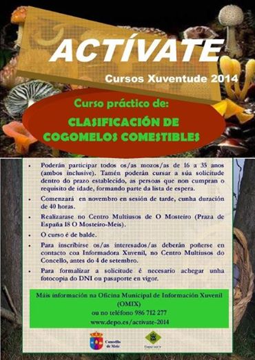 Meis ofrece un curso práctico de clasificación de cogomelos comestibles