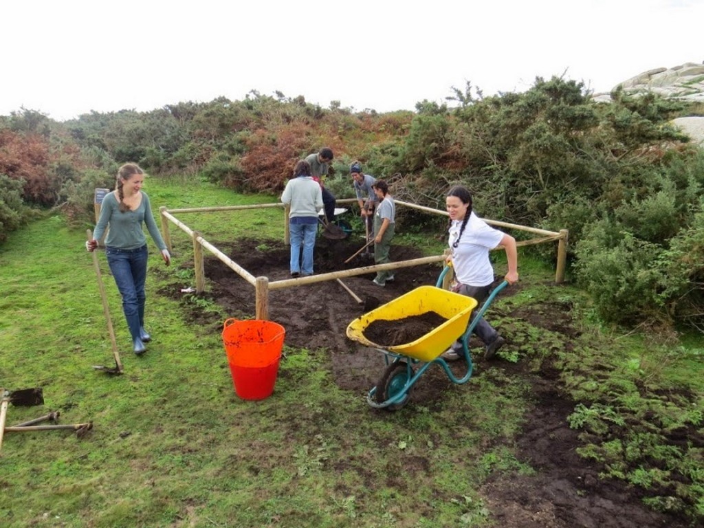 Medio Ambiente está a levar a cabo importantes actuacións de conservación de anfibios no Parque Nacional das Illas Atlánticas de Galicia