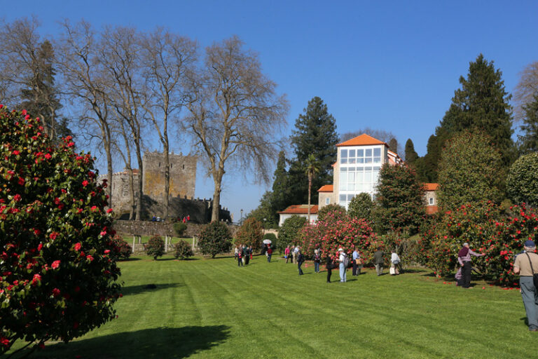 A Deputación de Pontevedra concretou o Calendario de Exposicións da Camelia para o ano 2015 que organiza conxuntamente coa Sociedade Española da Camelia. Das 23 mostras que terán lugar en Galicia, 15 celebraránse na provincia de Pontevedra