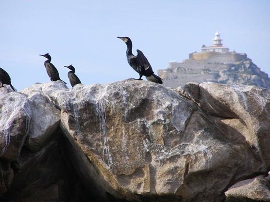 A Xunta investiu máis de 800.000 euros na elaboración de medio cento de estudos sobre censos de especies e biodiversidade nos Parques naturais galegos nos últimos catro anos