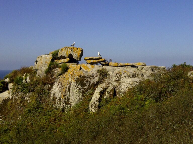 A Xunta investiu máis de 800.000 euros na elaboración de medio cento de estudos sobre censos de especies e biodiversidade nos Parques naturais galegos nos últimos catro anos