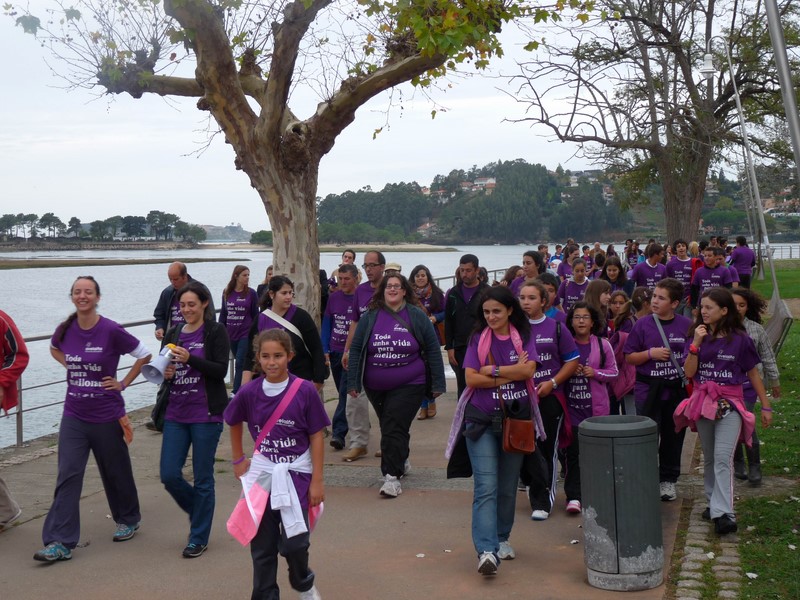 Avelaíña, mente e corazón