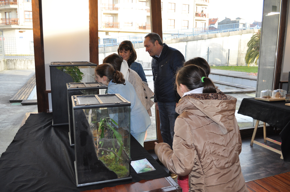 Os escolares do Concello Soutomaior visitan a exposición "Reptigalia"