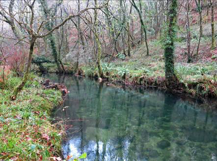 Xunta-Medio-Ambiente-actuación-conservación-fluvial-río-Barragán-concello-Pazos-de-Borbén-actuación-executada-Augas-de-Galicia-decembro-parroquias-Moscoso-Xunqueiras