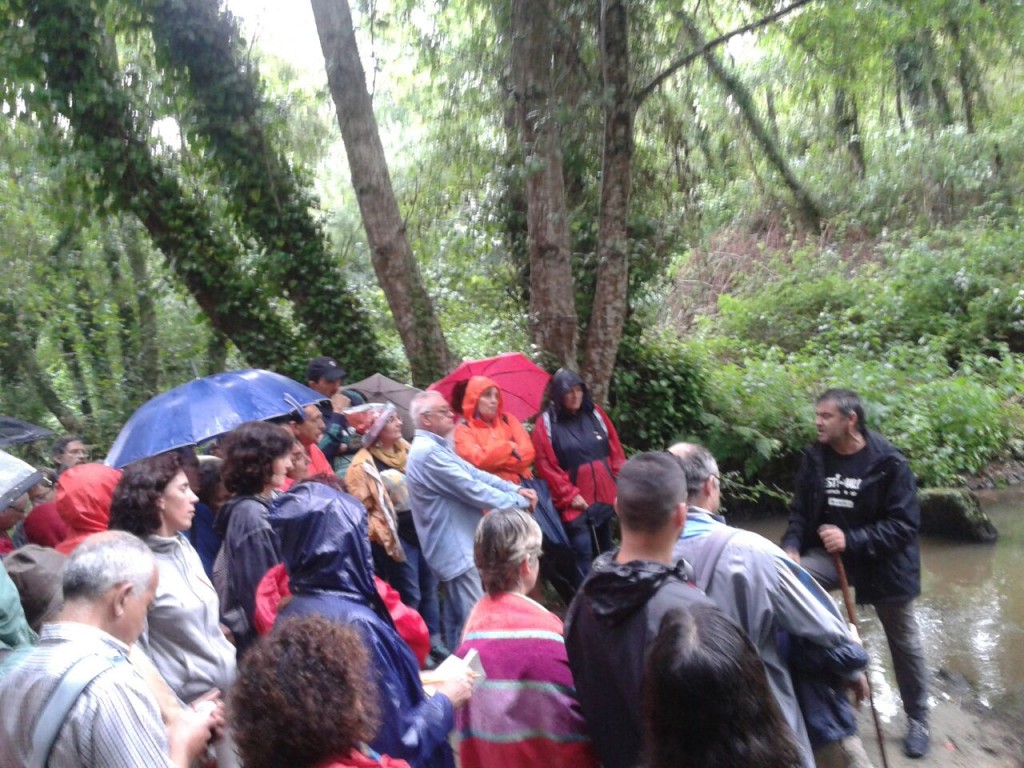 A pesar-choiva-medio-centenar-visitantes-descobren-beleza-bosque-atlántico-Nigrán