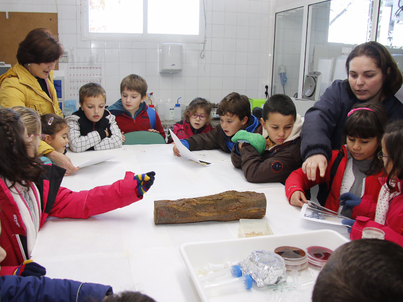un-grupo-de-93-nenos-e-nenas-do-ceip-carballal-de-marin-conecen-o-traballo-da-estacion-fitopatoloxica-de-areeiro