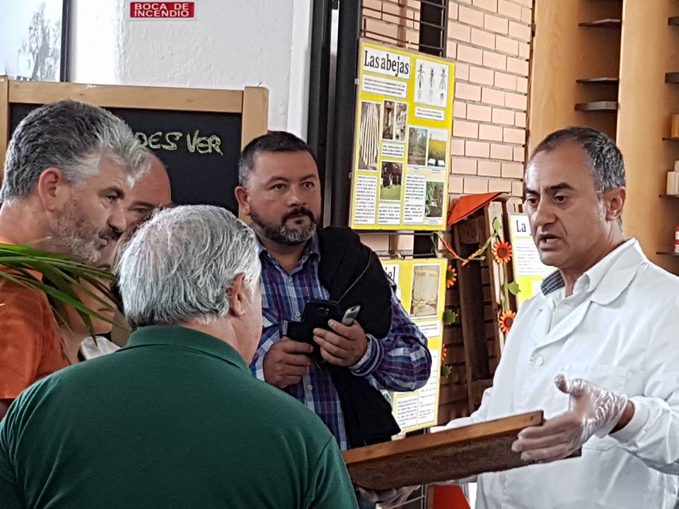 mais-de-3000-persoas-visitaron-o-bio-mercado-de-tomino