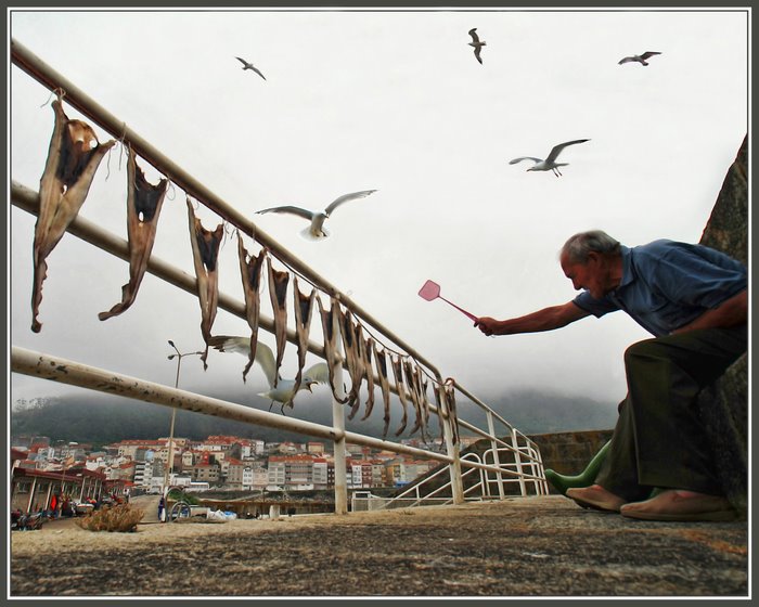o-xurado-do-concurso-de-fotografia-dia-mundial-do-turismo-da-guarda-deu-a-conecer-os-premiados