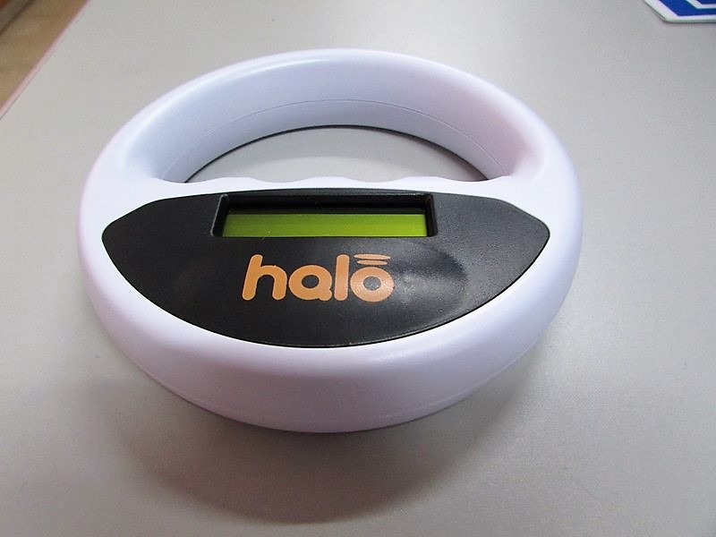 a-policia-local-da-guarda-reforza-os-mecanismos-para-o-control-do-abandono-de-animais