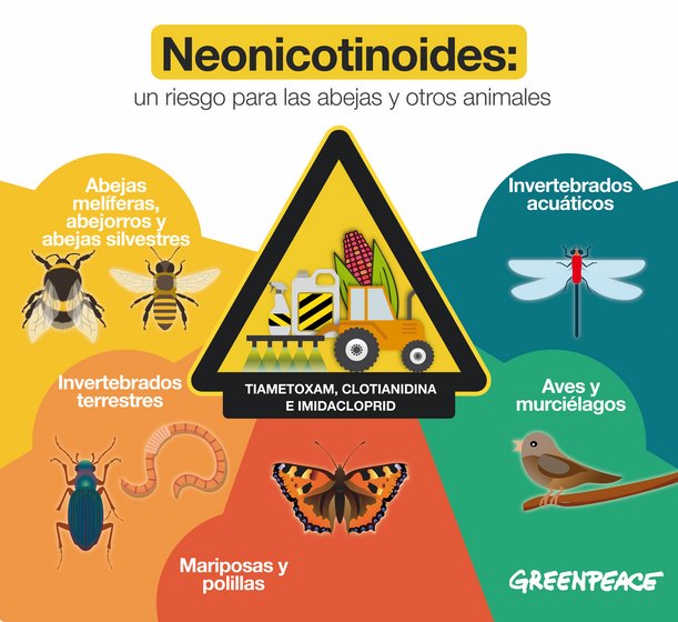 os-insecticidas-usados-en-europa-suponen-maior-risco-para-as-abellas-e-outras-especies-do-que-se-pensaba