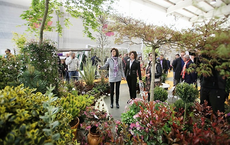 tomino-prepara-a-14a-mostra-de-cultivos-do-baixo-mino-con-novidades-na-producion-e-distribucion-de-planta-ornamental