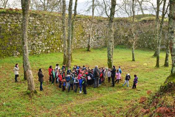 centos-de-nenos-e-nenas-de-primaria-e-infantil-coneceron-in-situ-as-arbores-senlleiras-de-tomino