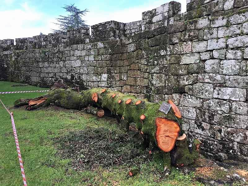 o-castelo-de-soutomaior-volve-abrir-as-suas-portas-despois-de-reparar-os-danos-ocasionados-polo-temporal