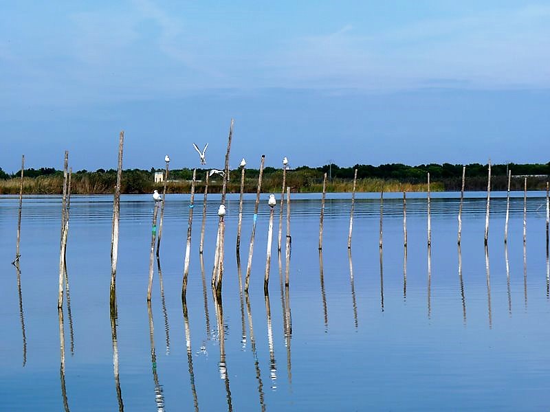 Día Mundial dos Humidais