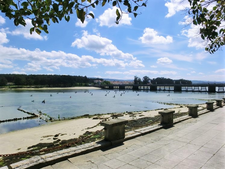 a-acuicultura-espanola-aliada-na-proteccion-e-conservacion-da-biodiversidade-na-rede-natura-2000