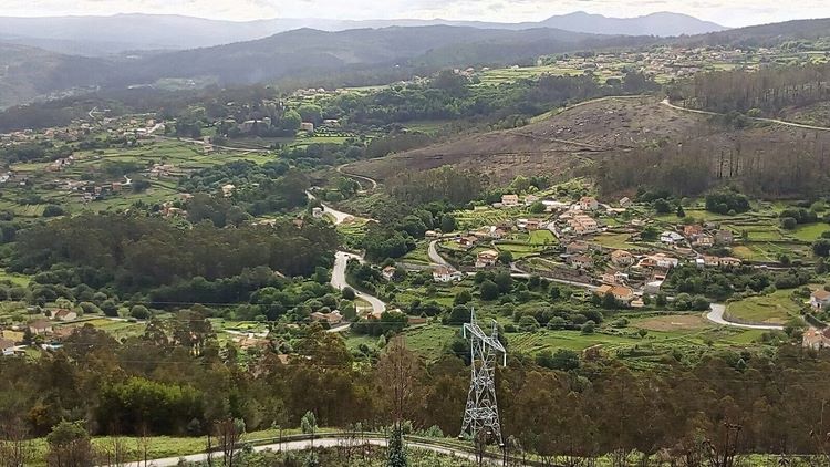 finalizan-os-traballos-de-retirada-dos-mais-de-300-eucaliptos-do-castelo-de-soutomaior