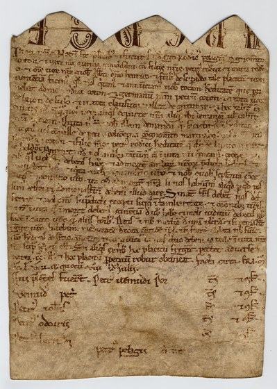 coleccion-pergameos-enriquece-os-fondos-da-real-academia-galega-disponibles-na-rede