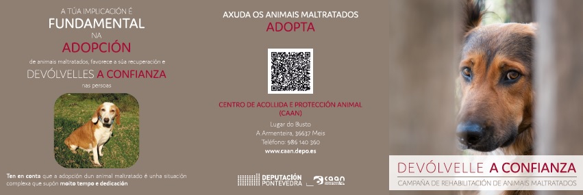 comeza-campana-devolvelle-confianza-caan-animar-adopcion-animais-maltratados