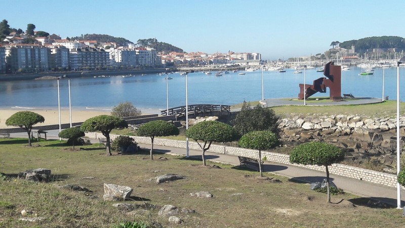 trasplantan-santa-marta-as-arbores-do-paseo-alfonso-ix-baiona