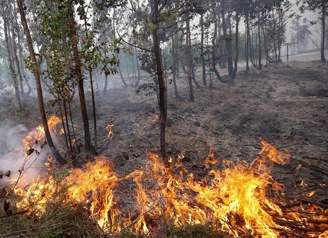 choiva-despois-dos-incendios-medidas-urxentes-evitar-contaminacion-da-auga