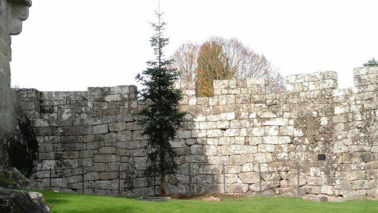 xardin-botanico-castelo-soutomaior-acolle-duas-novas-especies-arbores