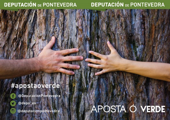 deputacion-pontevedra-aposta-polo-verde-e-impulsa-10-charlas-dirixidas-ao-alumnado-da-e-fp-promocionar-sector-agroforestal