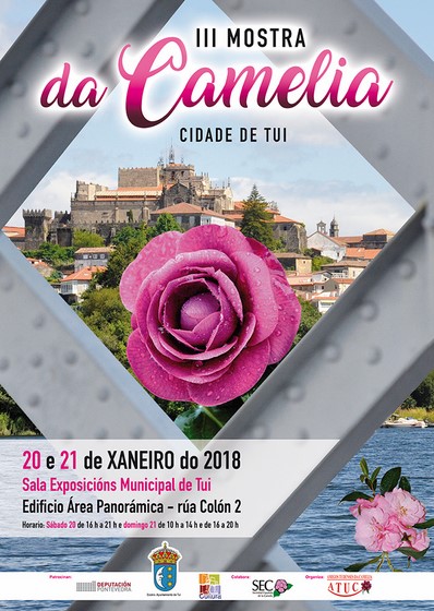80-expositores-galicia-asturias-e-portugal-danse-cita-na-iii-mostra-da-camelia-cidade-tui