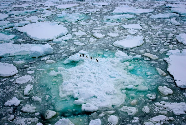 greenpeace-comeza-unha-expedicion-historica-reclamar-creacion-da-maior-area-protexida-do-mundo-santuario-antartico