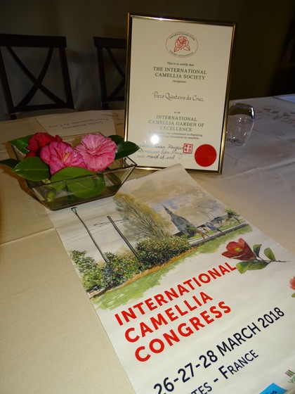 quinteiro-da-cruz-presenta-a-sua-certificacion-como-xardin-internacional-da-camelia