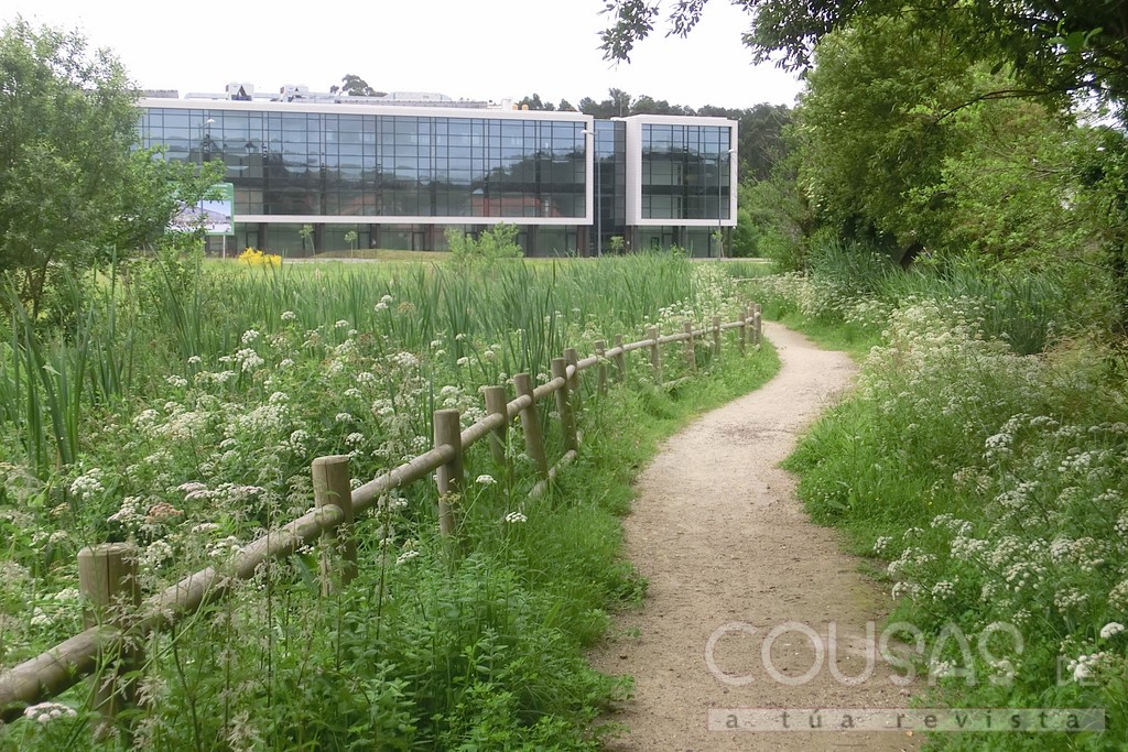 co-obxetivo-de-fazer-do-rio-muinos-nigran-un-espazo-fluvial-de-referencia-comenzaron-hoxe-unas-obras-que-contan-cun-orzamento-de-510-000e