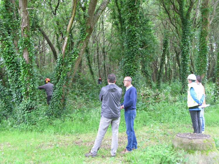 co-obxetivo-de-fazer-do-rio-muinos-nigran-un-espazo-fluvial-de-referencia-comenzaron-hoxe-unas-obras-que-contan-cun-orzamento-de-510-000e