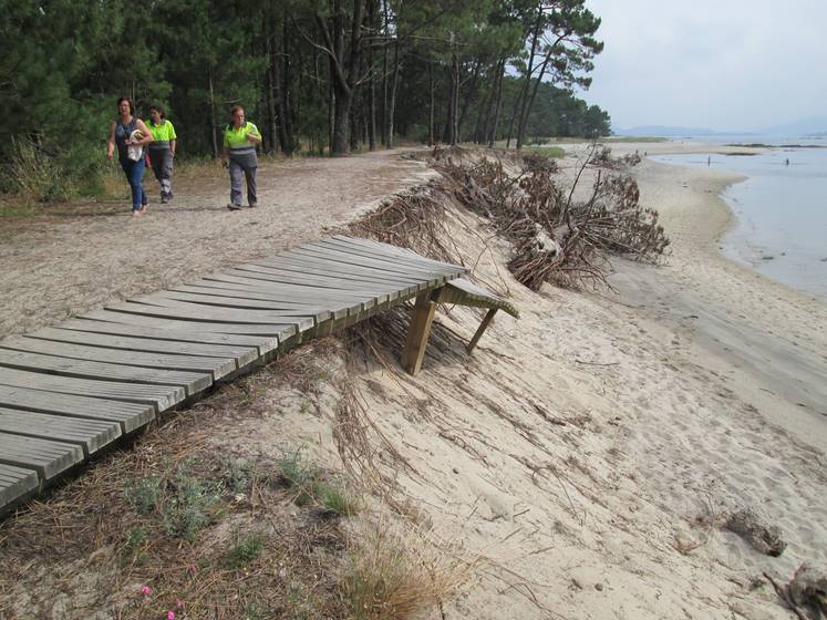 informe do Centro de Estudos e Experimentación de Obras Públicas (CEDEX).