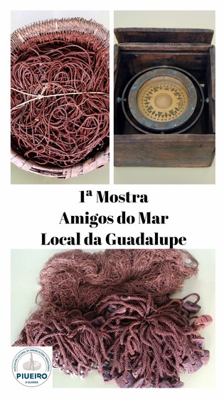 A Asociación Piueiro inaugura na Guarda a exposición 'Amigos do Mar'