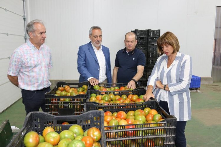 a-xunta-destinara-catro-millons-de-euros-co-galo-de-mellorar-os-resultados-economicos-do-sector-horticola