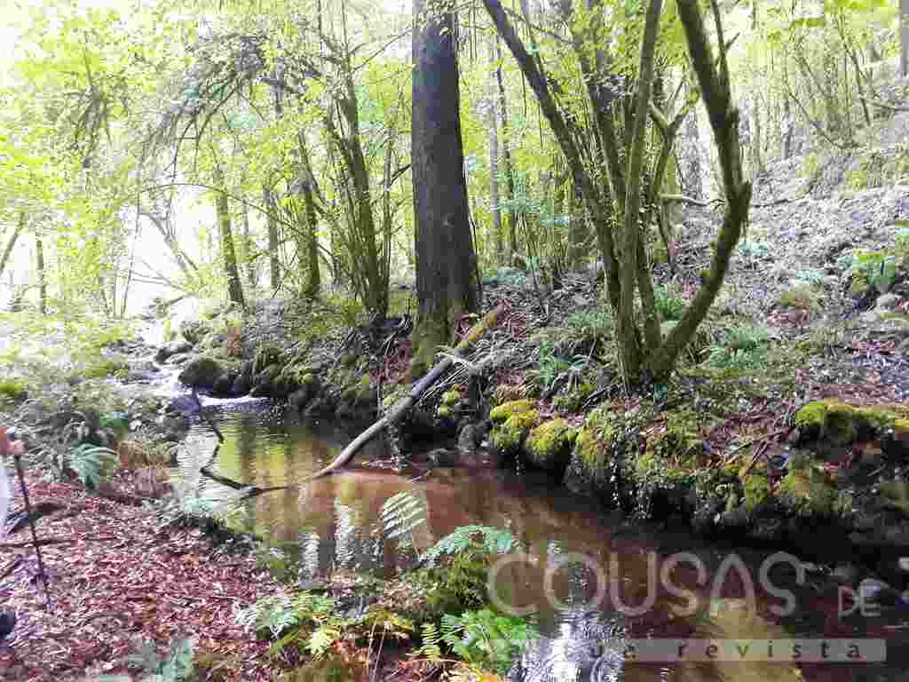 Couso, unha paraxe máxica no centro do Val Miñor 