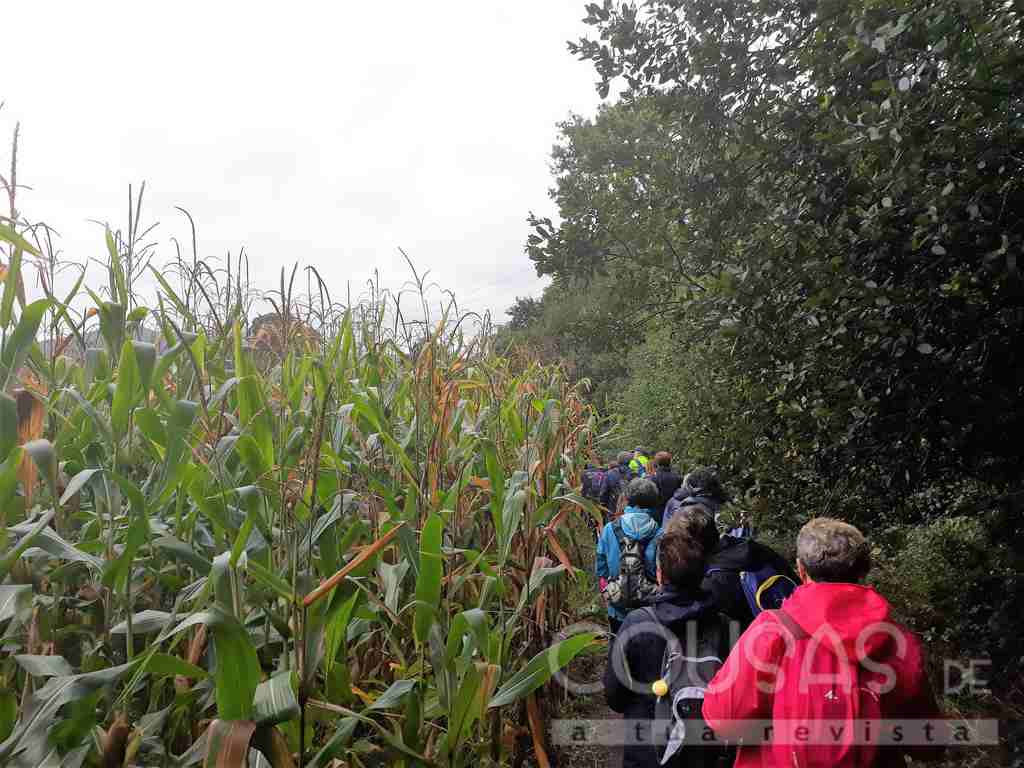 Couso, unha paraxe máxica no centro do Val Miñor 