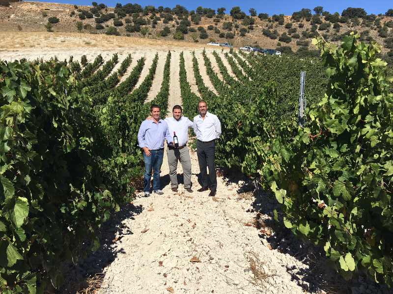 O Grupo Terras Gauda reafirma a súa aposta pioneira pola viticultura biodinámica e a sustentabilidade