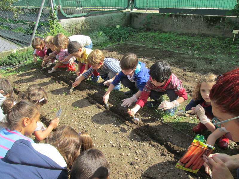 Amigos da Terra pon en marcha unha Rede de Hortas Ecolóxicas Escolares