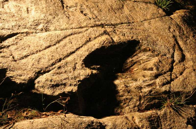 Un caderno divulgativo destaca a singularidade e valor patrimonial dos petróglifos do río Vilar (Pedornes-Oia)