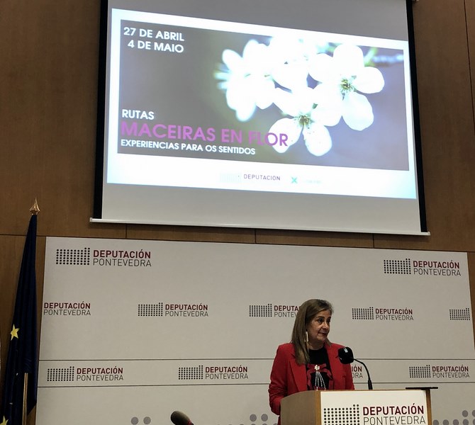 A II edición da 'Ruta das Maceiras en Flor' tendrá este ano tres itinerarios polo concello da Estrada