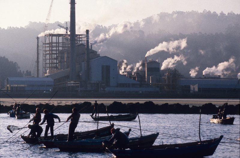 Greenpeace e APDR reiteran a necesidade de que se declare definitivamente nula a prórroga de ENCE-Pontevedra