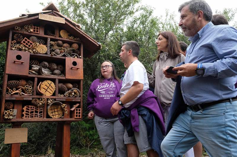 Medio Ambiente promove en Sálvora o primeiro hotel de insectos do Parque Nacional co fin de preservar os seus ecosistemas