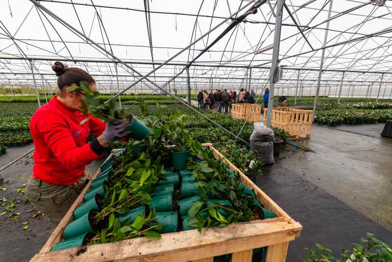 Empresas europeas e da península visitan O Baixo Miño e o Norte de Portugal co obxetivo de establecer relacións comerciais