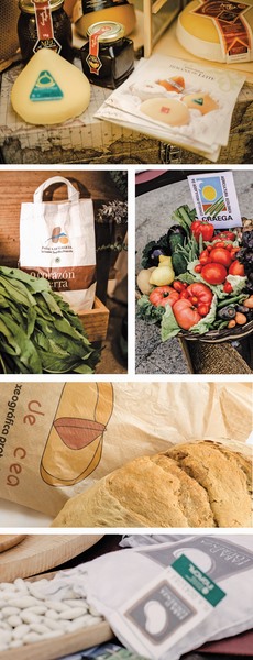 Xoias da gastronomía de Galicia que engaiolarán os teus sentidos