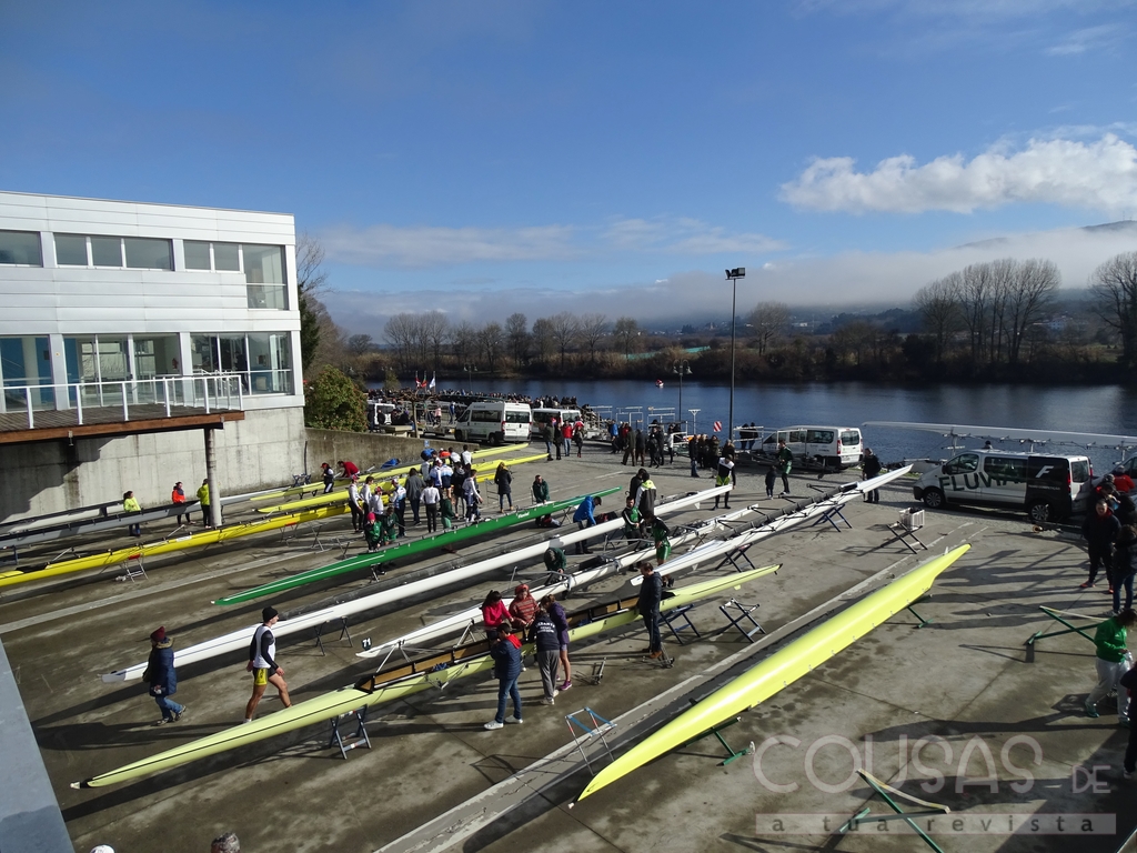 Record de participación na Regata Miño Internacional con máis de 350 remeiros e remeiras