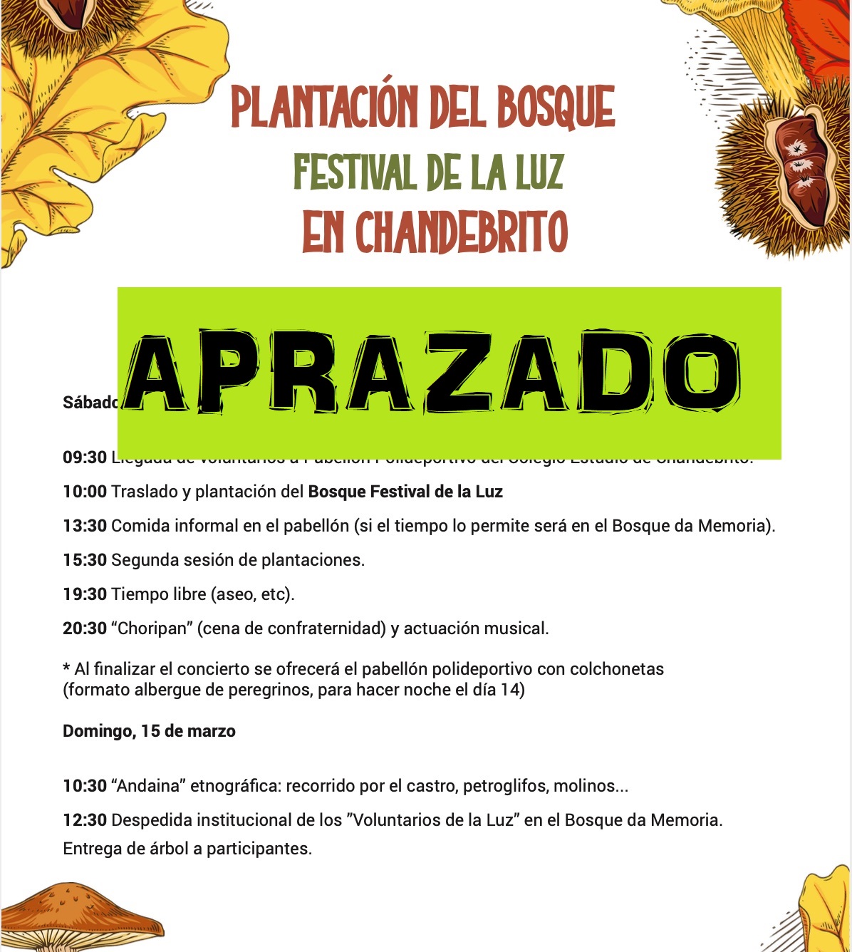 Chandebrito a plantación do 'Bosque da Luz'