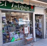 ARCADE Tulipan (Copiar)