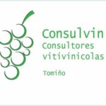 CONSULVIN 300 X 300 (Copiar)