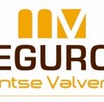 Seguros Montse Valverde